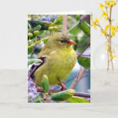 Nur weil karte (Gelbe Blume)