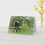 Nur weil karte (Gelbe Blume)