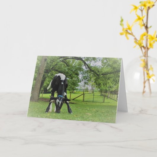 Nur weil karte (Gelbe Blume)