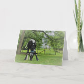 Nur weil karte (Vorderseite)