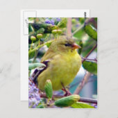 Nur weil postkarte (Vorne/Hinten)