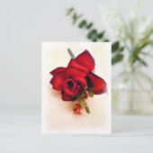 Nur weil_ postkarte (Stehend Vorderseite)