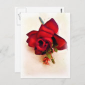 Nur weil_ postkarte (Vorne/Hinten)