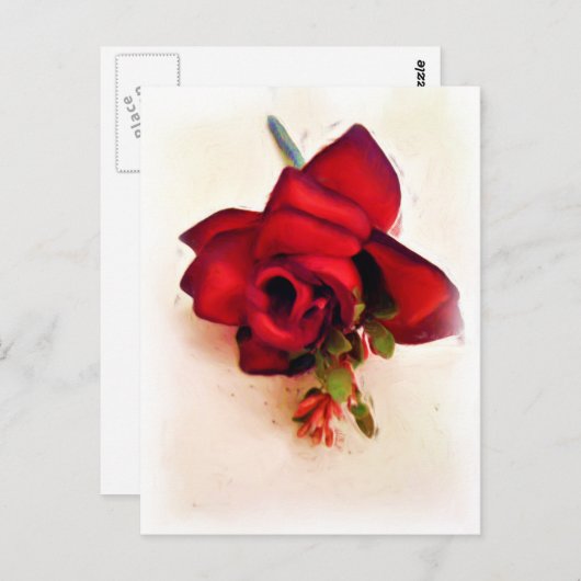 Nur weil_ postkarte (Vorne/Hinten)