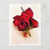 Nur weil_ postkarte (Vorderseite)