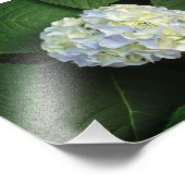 Nur WOW! Fotodruck (Ecke)