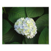 Nur WOW! Fotodruck (Vorne)