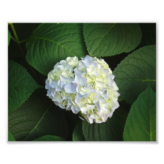 Nur WOW! Fotodruck (Vorne)