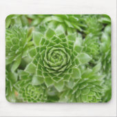 Nur WOW! Mousepad (Vorne)