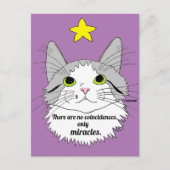 Nur Wunder Inspiration Ragdoll Cat Postkarte (Vorderseite)