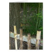 Nur zum Spaß wird das sneakige Eichhörnchen erwisc (Vorne)