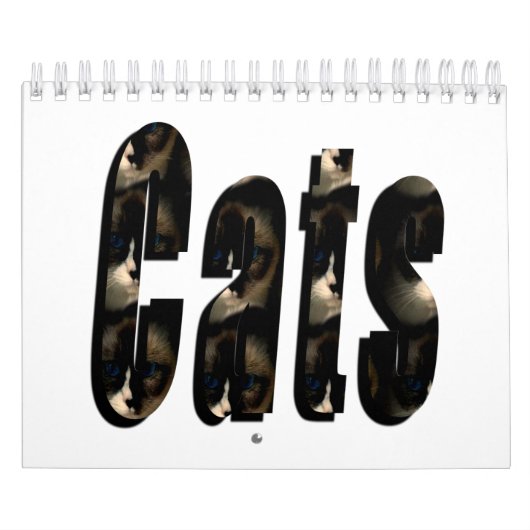 Nur zur Liebe von Katzen, Kalender (Titelbild)