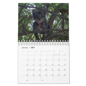 Nur zur Liebe von Katzen, Kalender (Jan 2027)