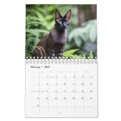 Nur zur Liebe von Katzen, Kalender (Feb 2027)