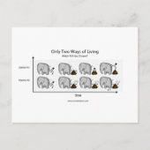 Nur zwei Lebenswege Postkarte (Vorderseite)