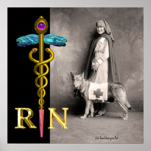 NURG- UND RÜCKWÜRDIGUNGSHUND/Gold Caduceus RN-Embl Poster