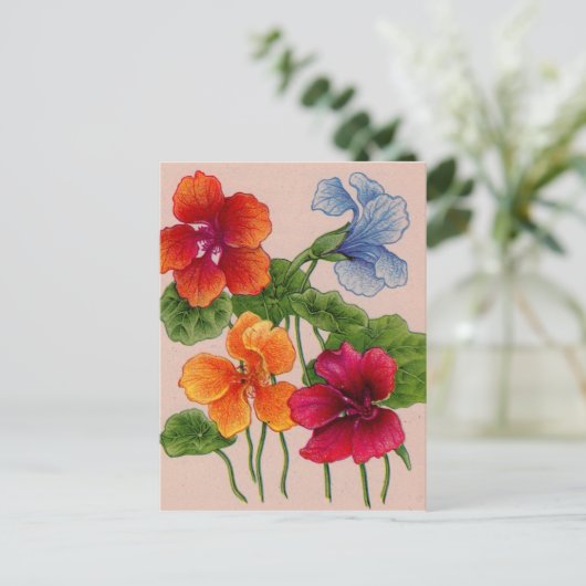 Nurie Postkarte (Stehend Vorderseite)