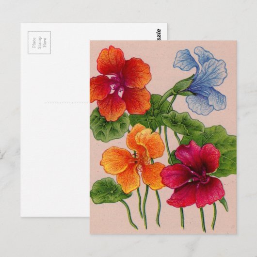 Nurie Postkarte (Vorne/Hinten)