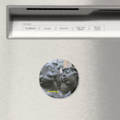 Nürnberg Magnet (In Situ (Geschirrspüler))