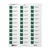 Nurse Abschluss Green Scrubs (Vorne)