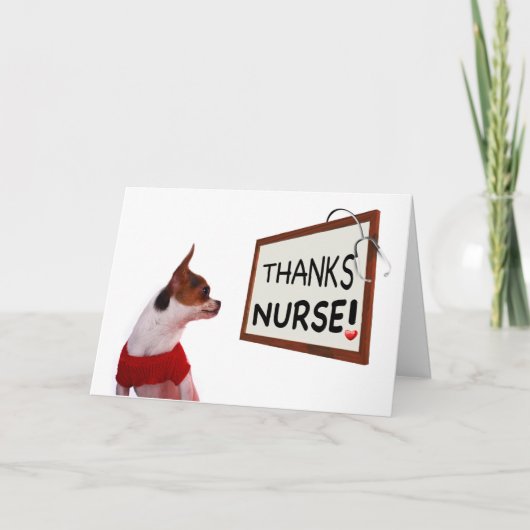 Nurse Danke Chihuahua Dog (Vorderseite)