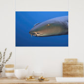 Nurse Shark mit Hitchhiker Poster (Küche)