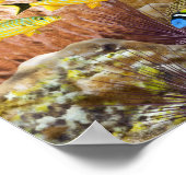 Nurse Shark over Coral Reef Poster (Ecke)