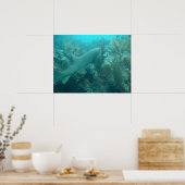 Nurse Shark Poster (Küche)