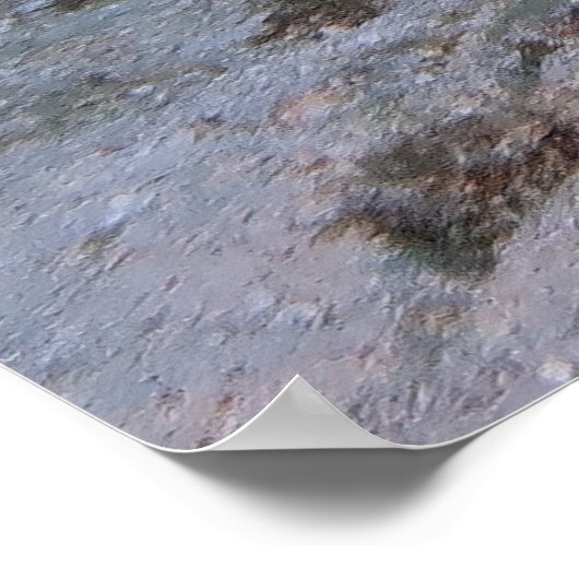 Nursehai Poster (Ecke)