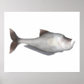 Nurseryfish Poster (Vorne)