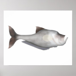 Nurseryfish Poster