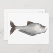 Nurseryfish Postkarte (Vorne/Hinten)