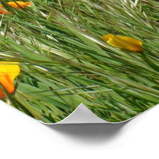 Nurses Week Celebration poster Danke (Ecke)