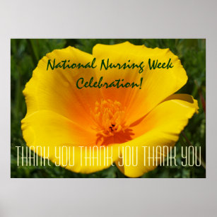 Nursing Week Celebration poster danke