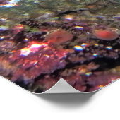 Nusa Lembongan Lionfish Poster (Ecke)