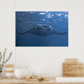 Nusa Penida Manta Poster (Küche)