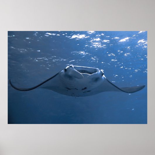 Nusa Penida Manta Poster (Vorne)