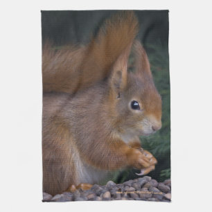 Nuss-Brunch-Geschirrtuch Küchentuch