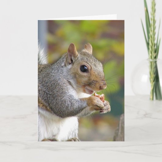 Nüsse got Karte? Karte (Vorderseite)