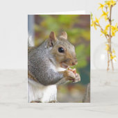 Nüsse got Karte? Karte (Gelbe Blume)