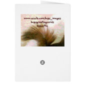 Nüsse über dich! (Hinten)