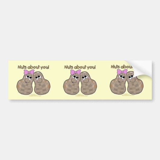 Nüsse über dich! autoaufkleber (Vorne)