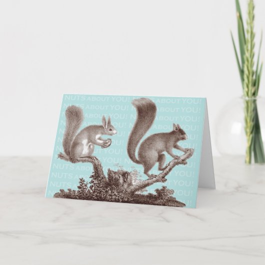 Nüsse über Sie - Valentinstag-Karte Feiertagskarte (Vorderseite)