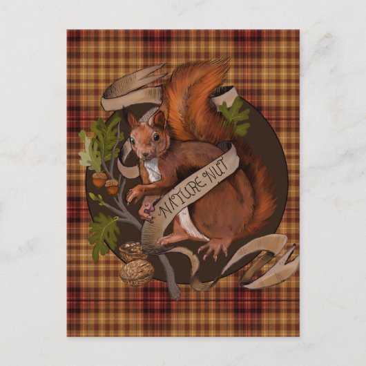 Nusseeichhörnchen Postkarte (Vorderseite)