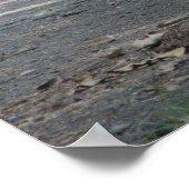 Nuss's in Oklahoma Poster (Ecke)