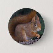 Nut Brunch-Abzeichen Button (Vorderseite)