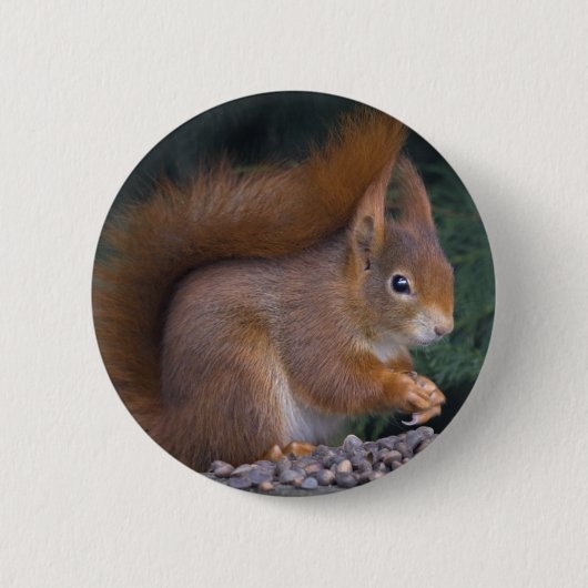 Nut Brunch-Abzeichen Button (Vorderseite)
