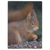 Nut Brunch Clipboard Klemmbrett (Rückseite)