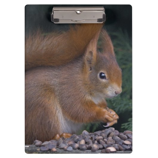 Nut Brunch Clipboard Klemmbrett (Vorderseite)
