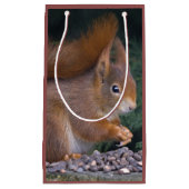 Nut Brunch Geschenktasche Kleine Geschenktüte (Vorderseite)